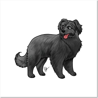 Dog - Pyrenean Shepherd - Black Posters and Art